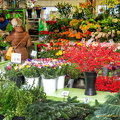 Viktualienmarkt florist at Christmas